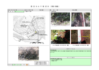 200x %e8%aa%bf%e6%9f%bb13